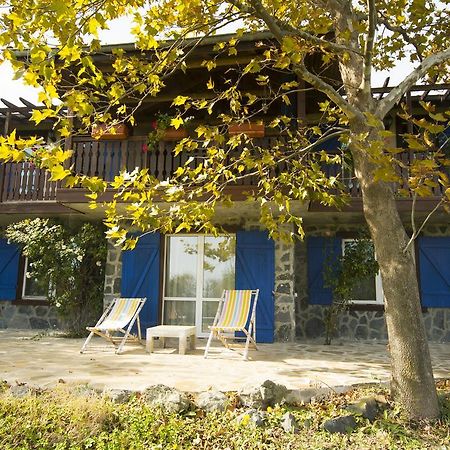 Art Provence House Villa Lozenets Dış mekan fotoğraf