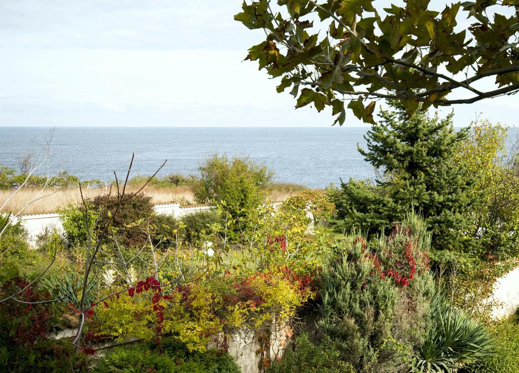 Art Provence House Villa Lozenets Dış mekan fotoğraf