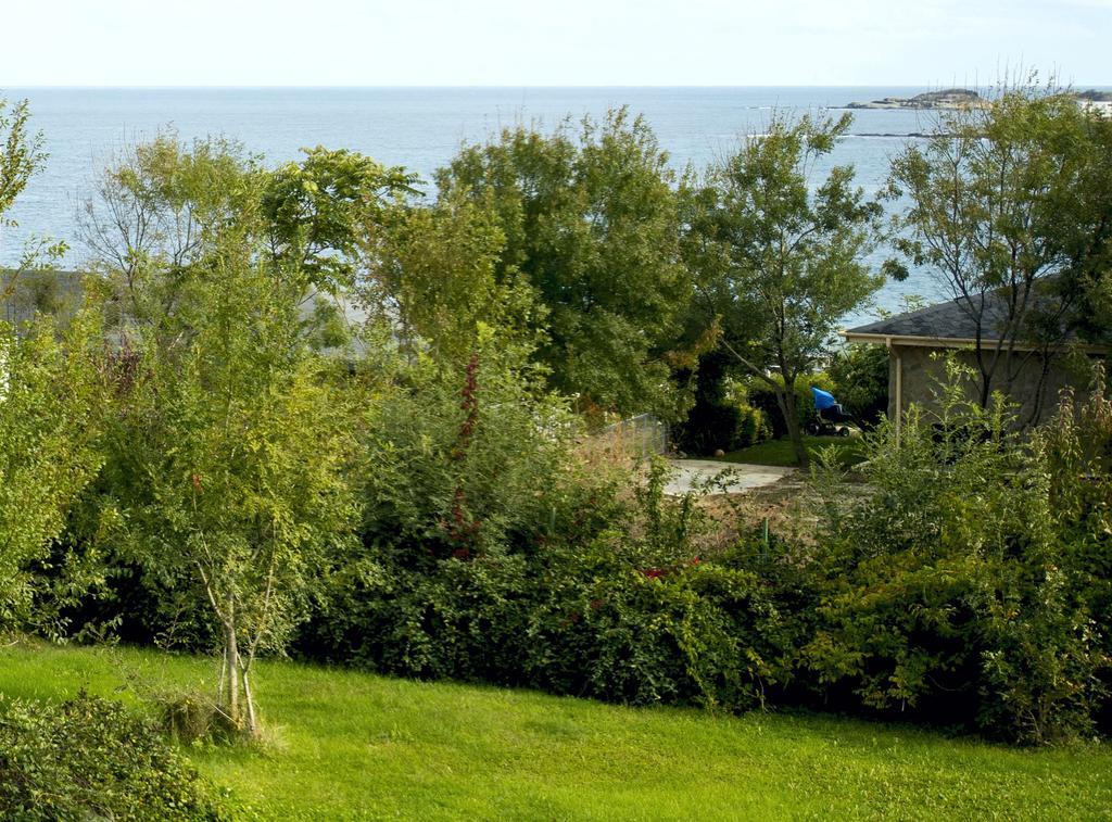 Art Provence House Villa Lozenets Dış mekan fotoğraf